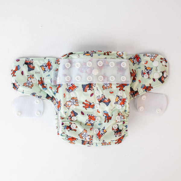 Beginner Nappy | Pawfessionals