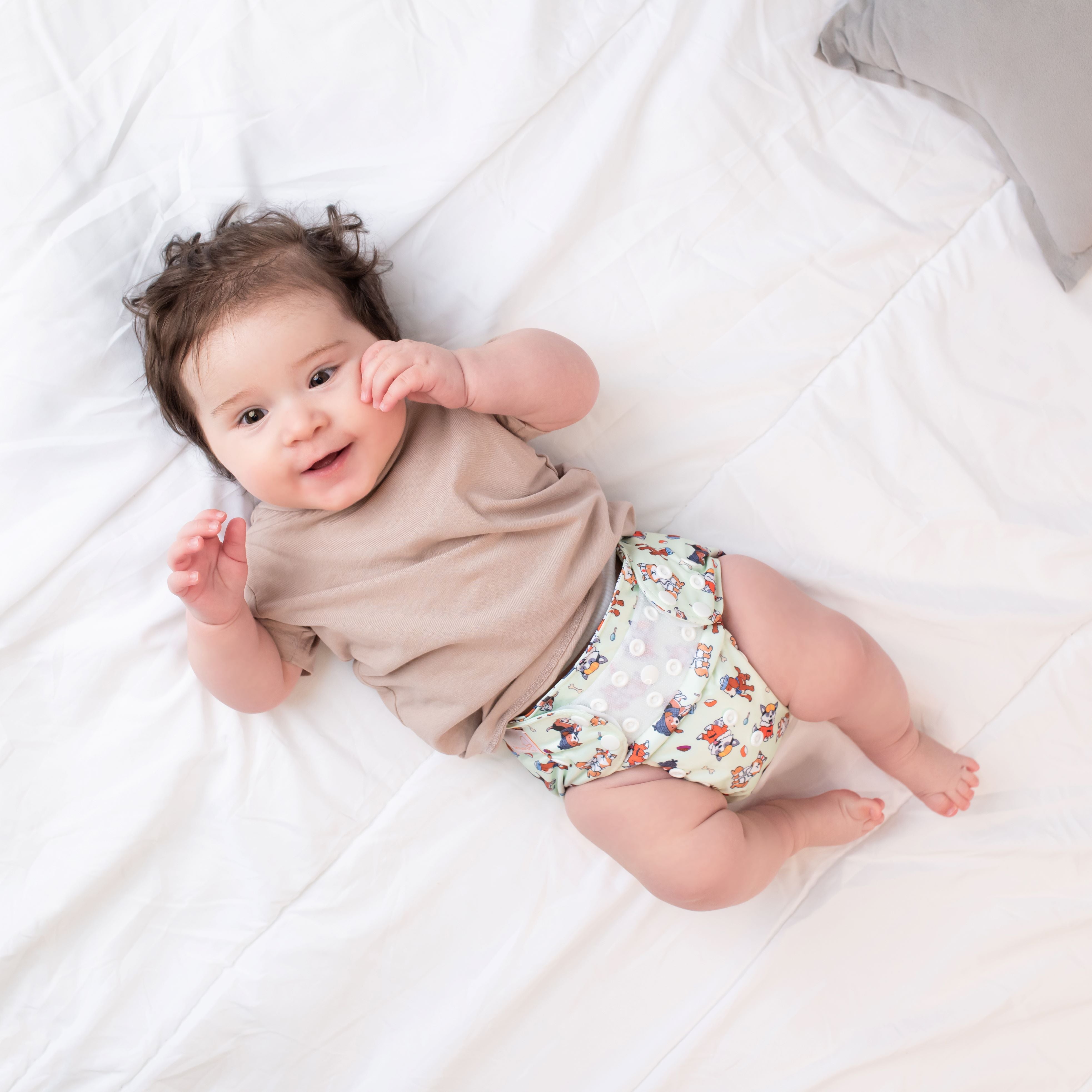 Beginner Nappy | Pawfessionals