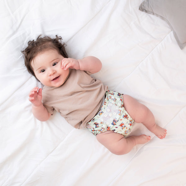 Beginner Nappy | Pawfessionals