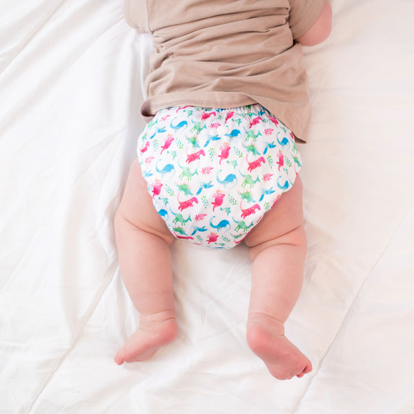 Beginner Nappy | Dinomite