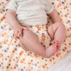 Ultimate Wipeable Cloth Nappy (Deluxe) | Pride & Prejudice