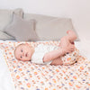 Ultimate Wipeable Cloth Nappy (Deluxe) | Pride & Prejudice