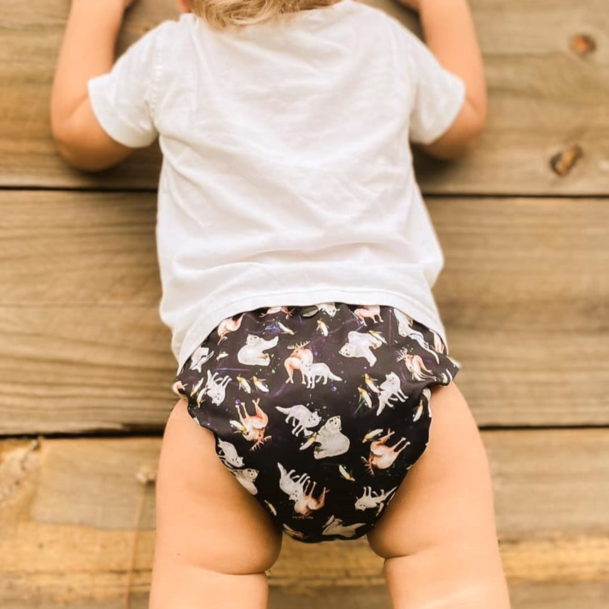 Classic Reusable Cloth Nappy 2.0 | Disco Bears - Monarch