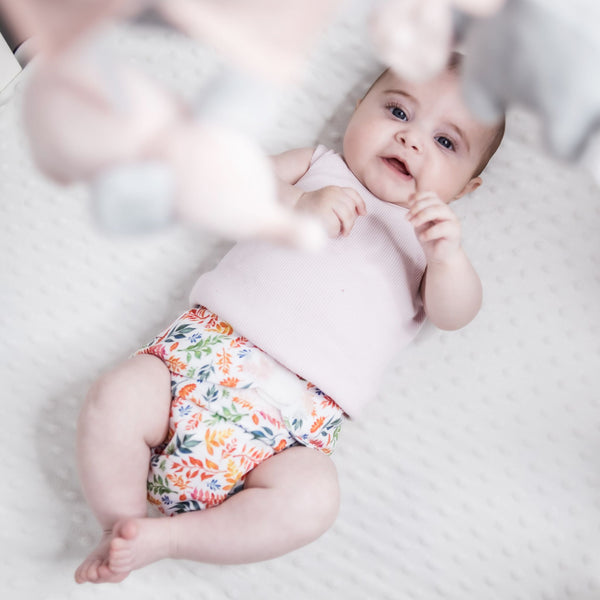 Ultimate Wipeable Cloth Nappy | Four Seasons (Nap Edition) - Monarch