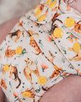 Ultimate Wipeable Cloth Nappy | Bush Buddies (Nap Edition) - Monarch