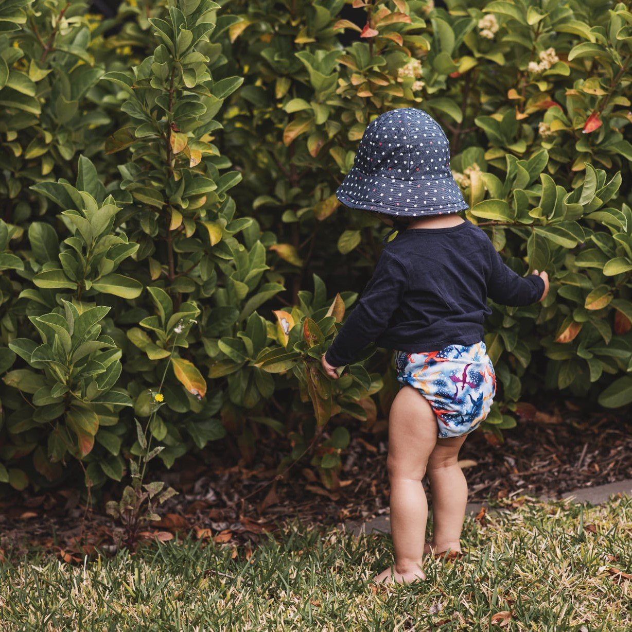 Alcmena | V1.5 Reusable Pocket Nappy | Fire & Ice - Monarch