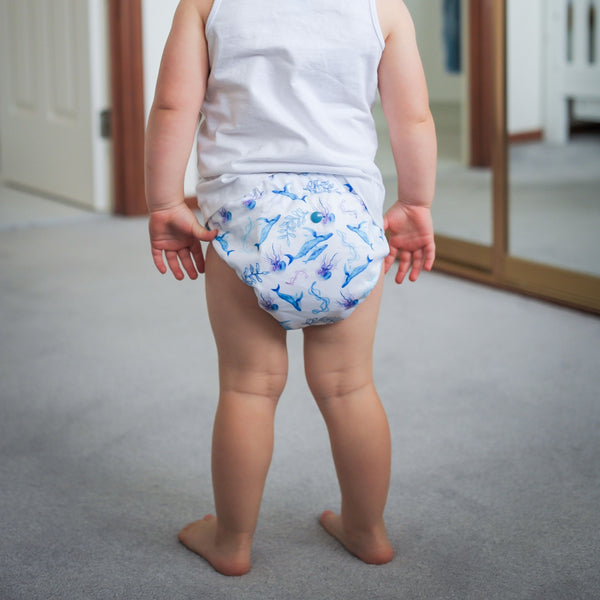 Alcmena | V1.5 Reusable Pocket Nappy | Seas The Day - Monarch