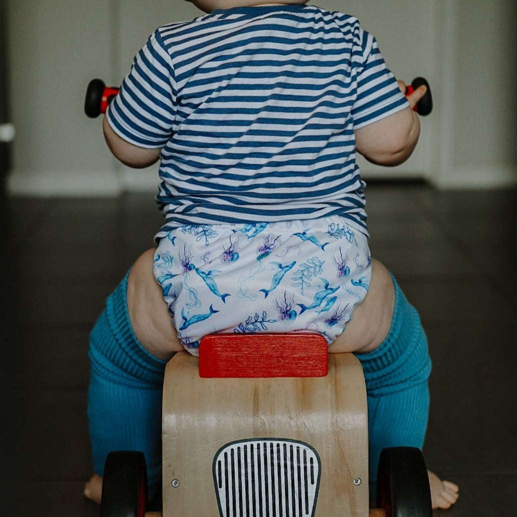 Alcmena | V1.5 Reusable Pocket Nappy | Seas The Day - Monarch