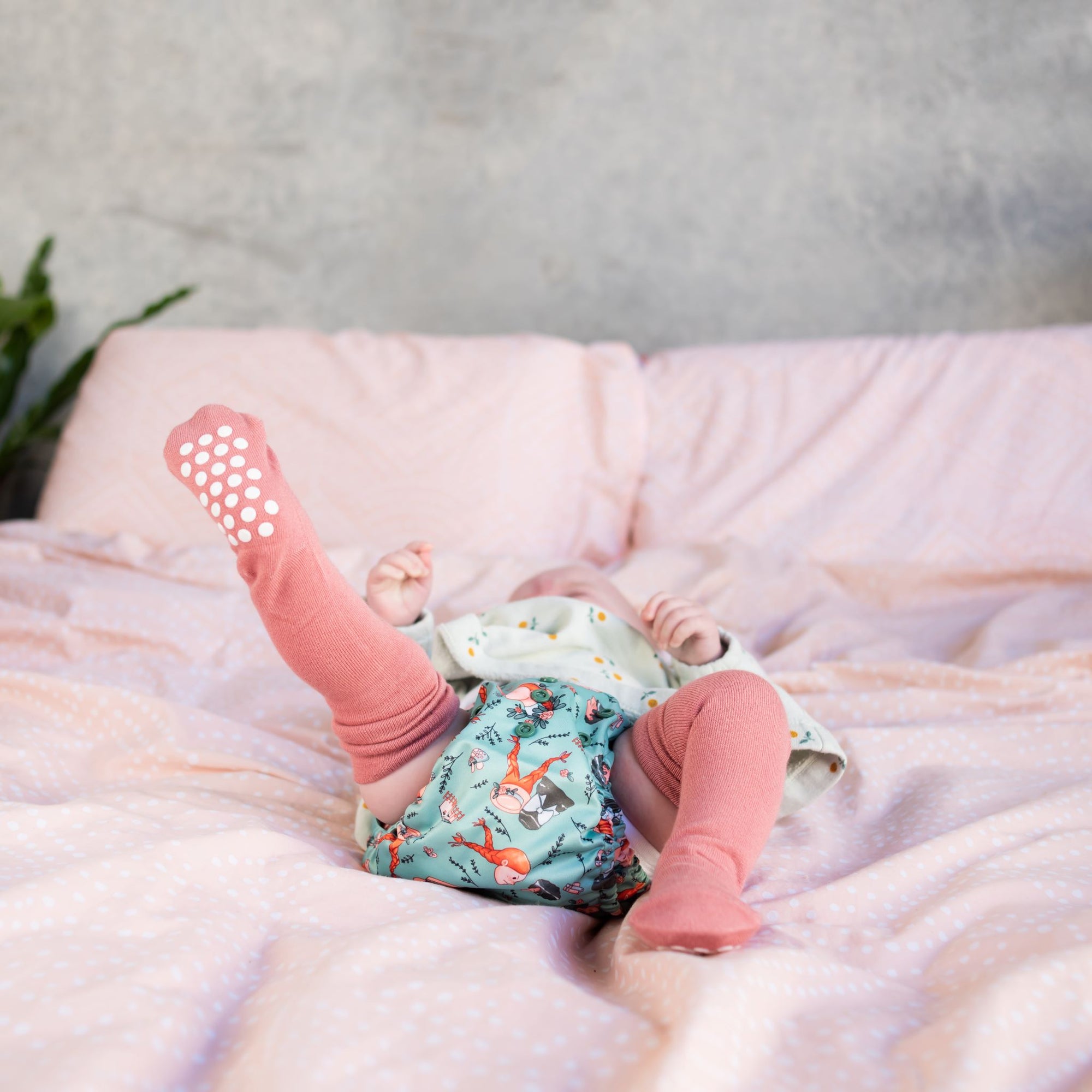 Storybook Collection