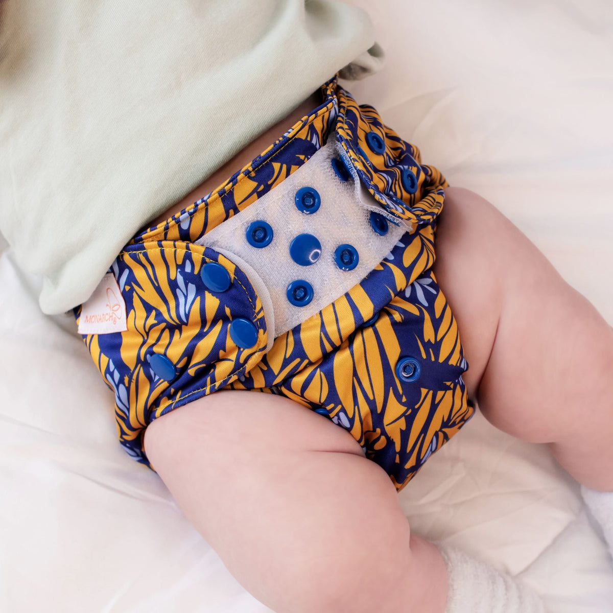 Nappy R Beginner Nappy Bundle – 4 Reusable Nappies + Pod | Blue Birds – Monarch ...