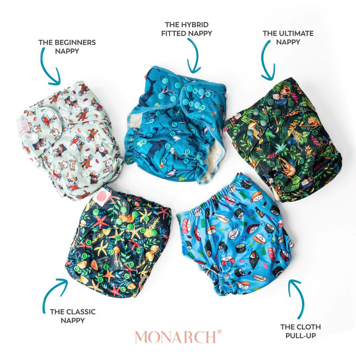 PullUps Pull Up Cloth Nappy Reusable Pull Up Nappy