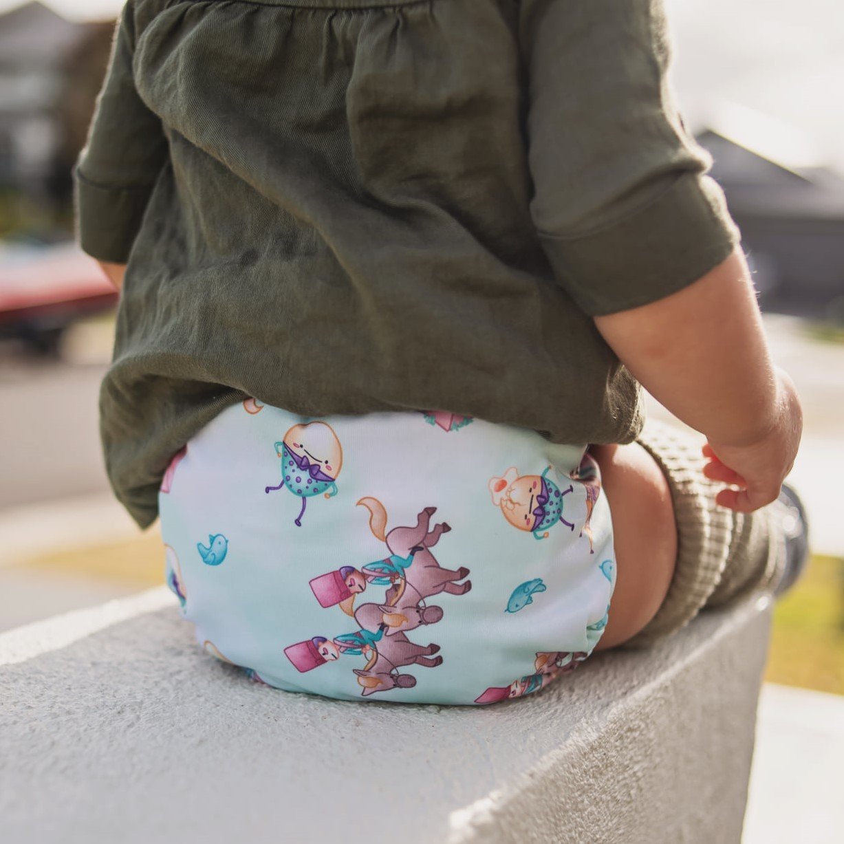 Alcmena | V3.5 Snap & Wipe Cloth Nappy | Dumpty (Hook and Loop Only) - Monarch