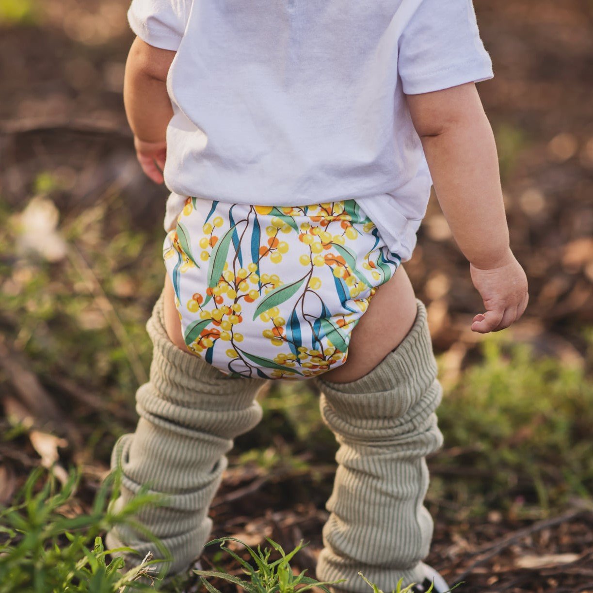 Alcmena | V1.5 Reusable Pocket Nappy | Wattling Along - Monarch