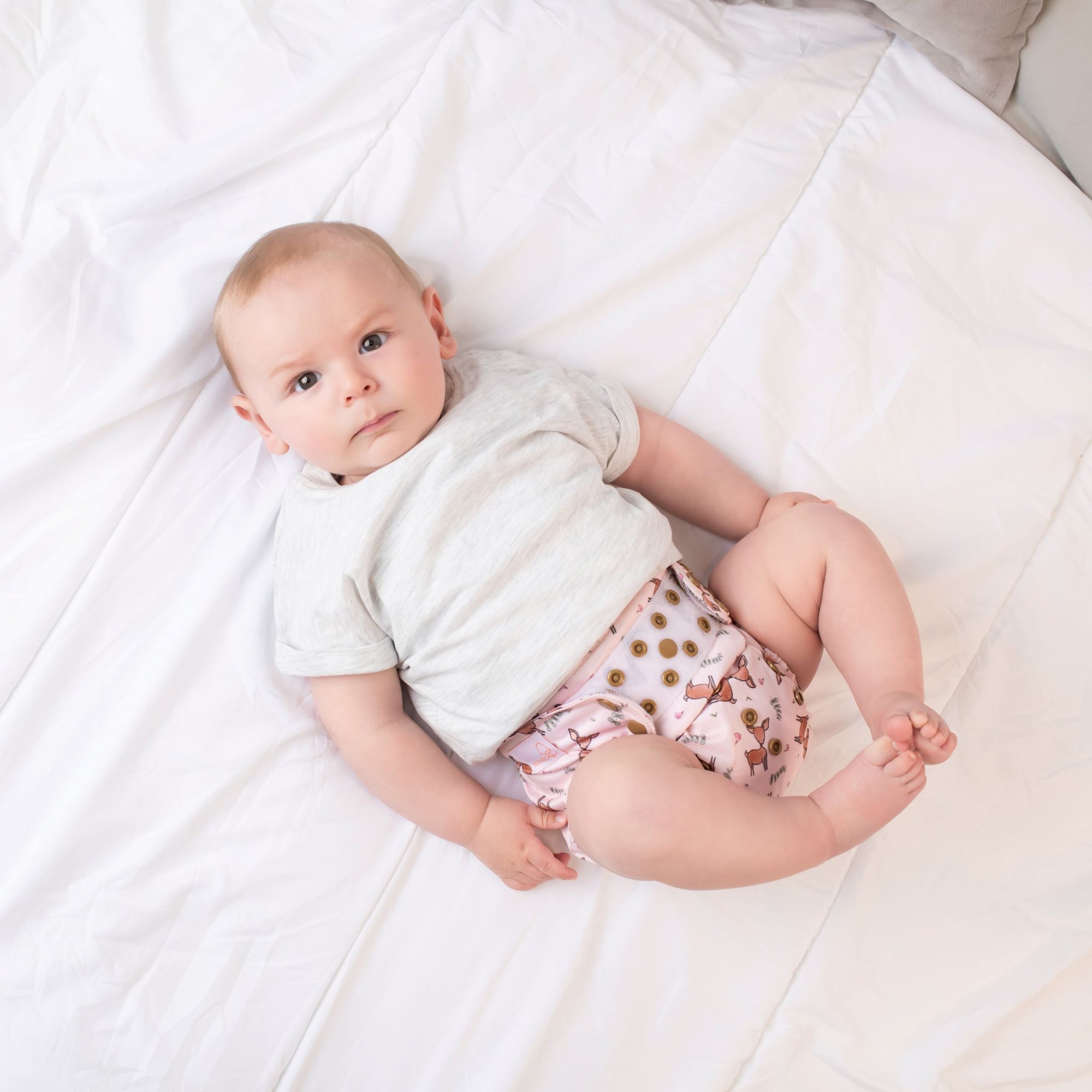 Beginners Nappy | Fawned of You - Monarch