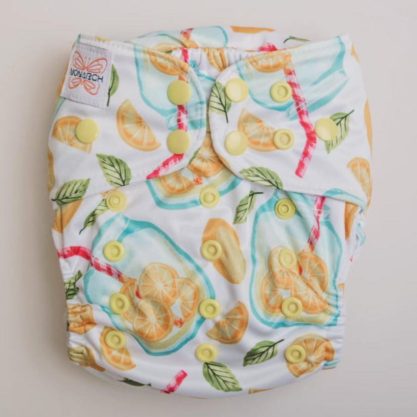 Classic Reusable Cloth Nappy 1.0 | Lemon Squeezy - Monarch