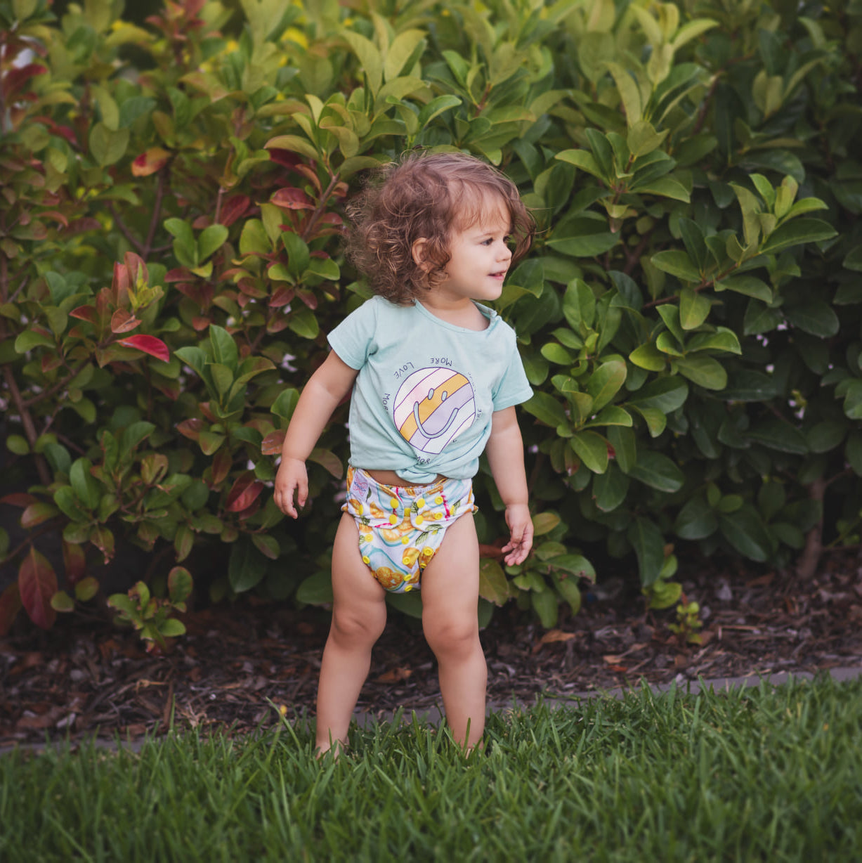Classic Reusable Cloth Nappy 1.0 | Lemon Squeezy - Monarch