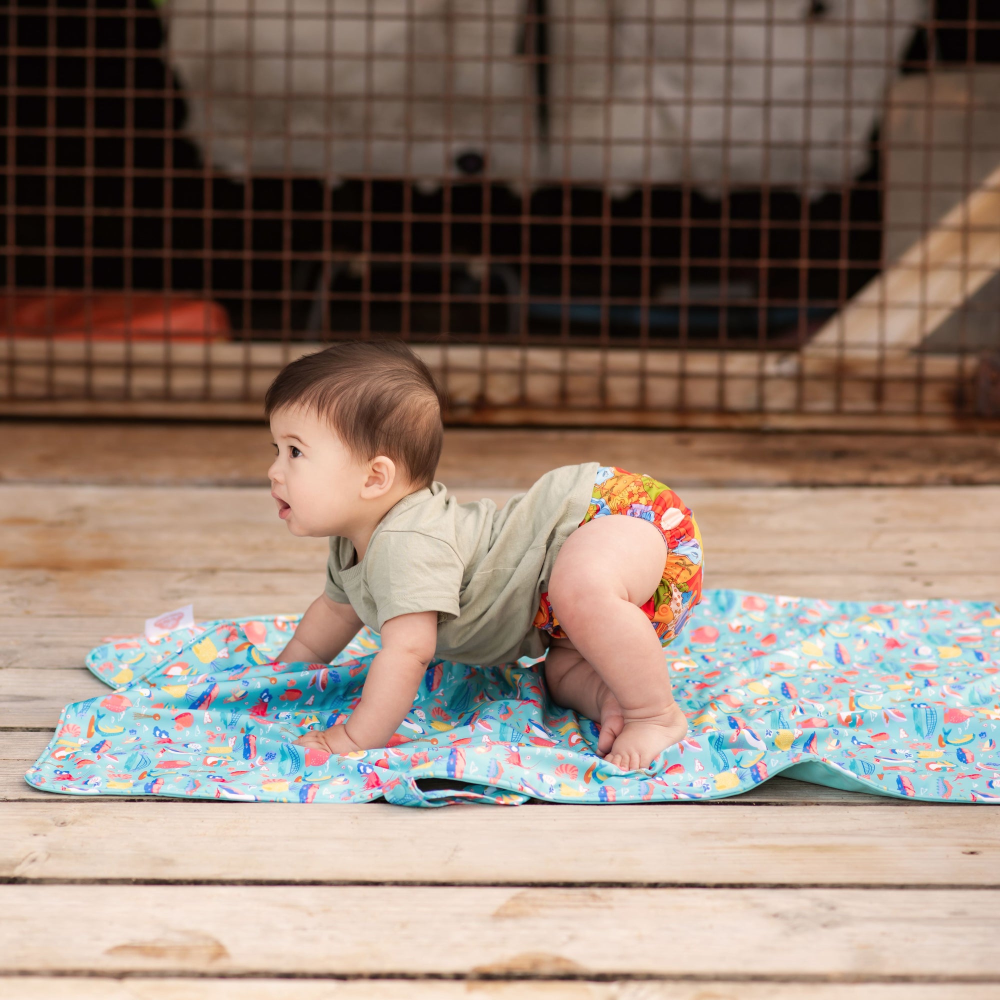 Wipe-Clean Change Mat | Ellie Whittaker - Big Things - Monarch