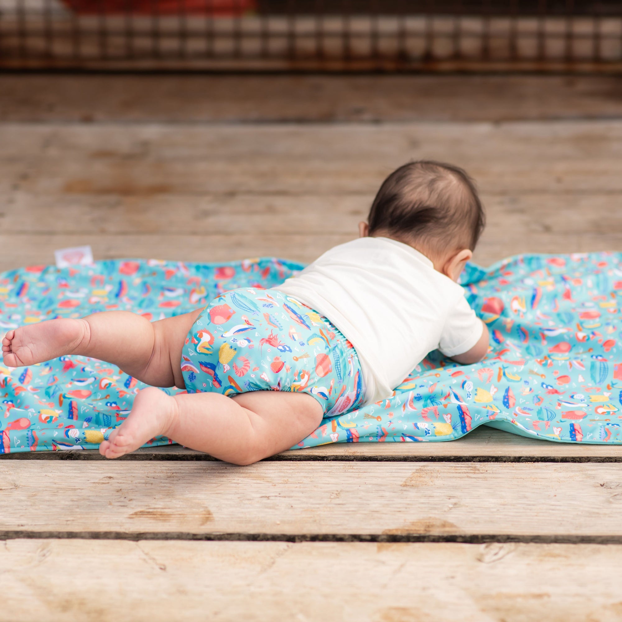 Ultimate Wipeable Cloth Nappy | Ellie Whittaker - Big Things - Monarch