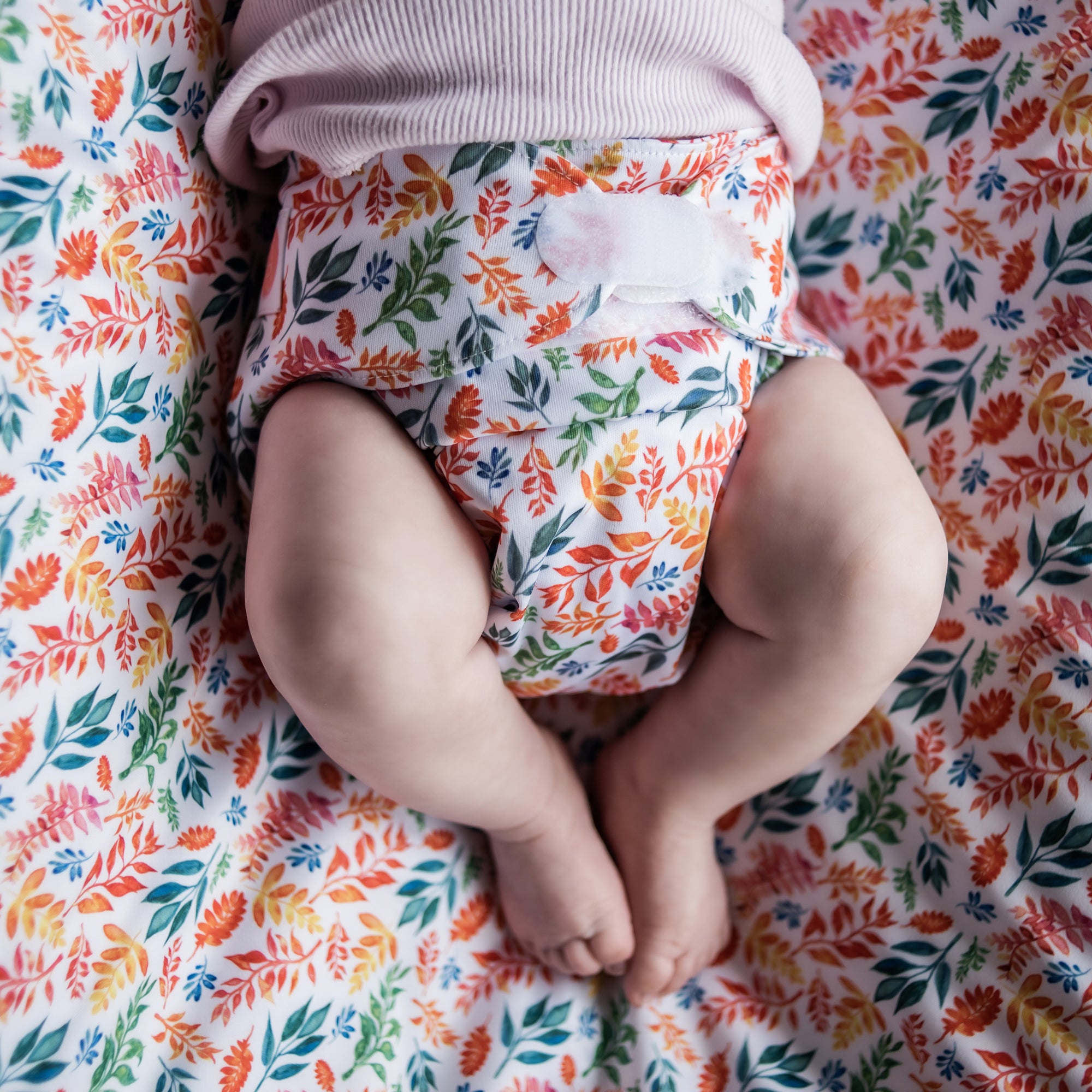 Ultimate Wipeable Cloth Nappy | Four Seasons (Nap Edition) - Monarch