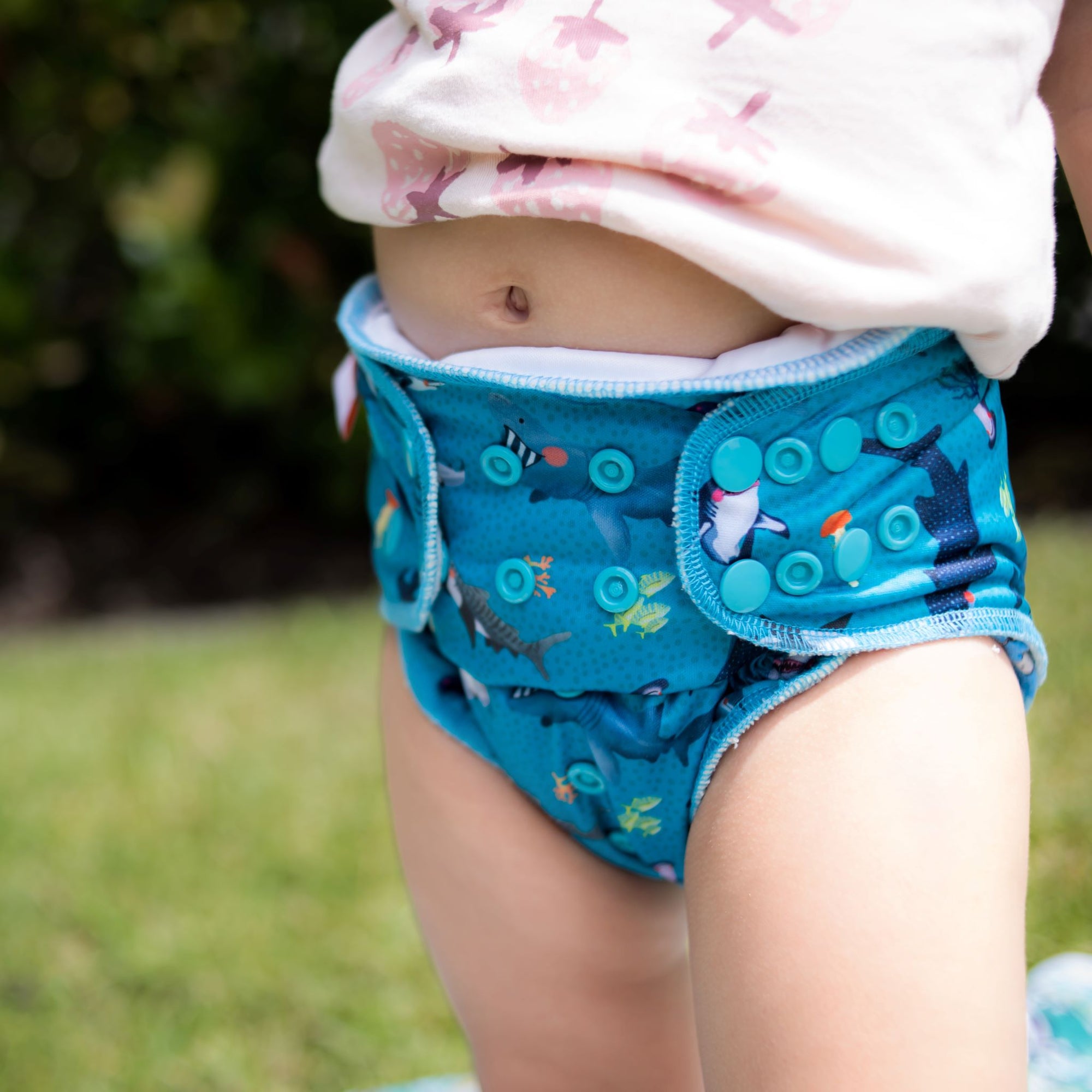 V2 Hybrid Fitted Nappy Cover | Feeding Frenzy - Monarch