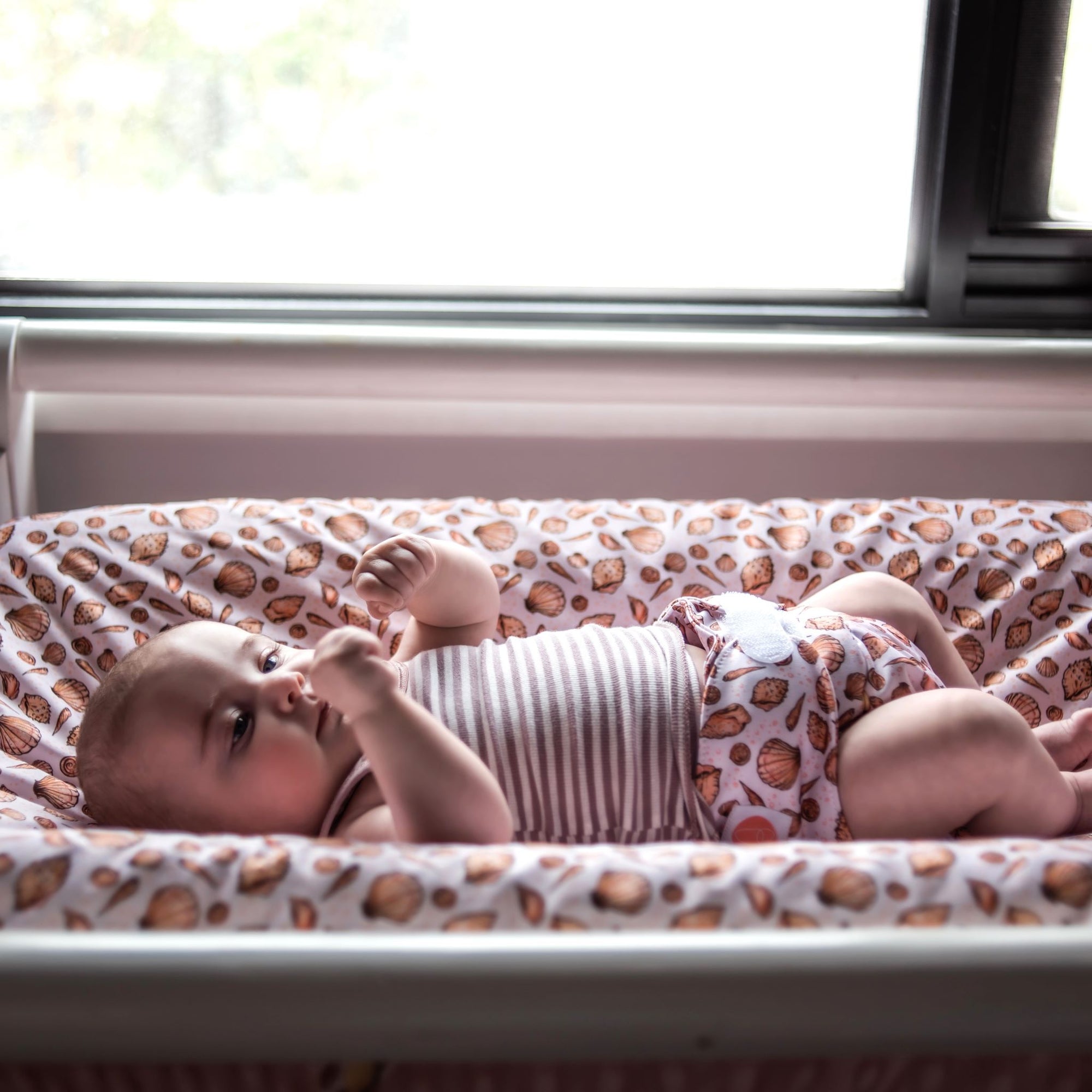 Ultimate Wipeable Cloth Nappy | What the Shell (Nap Edition) - Monarch