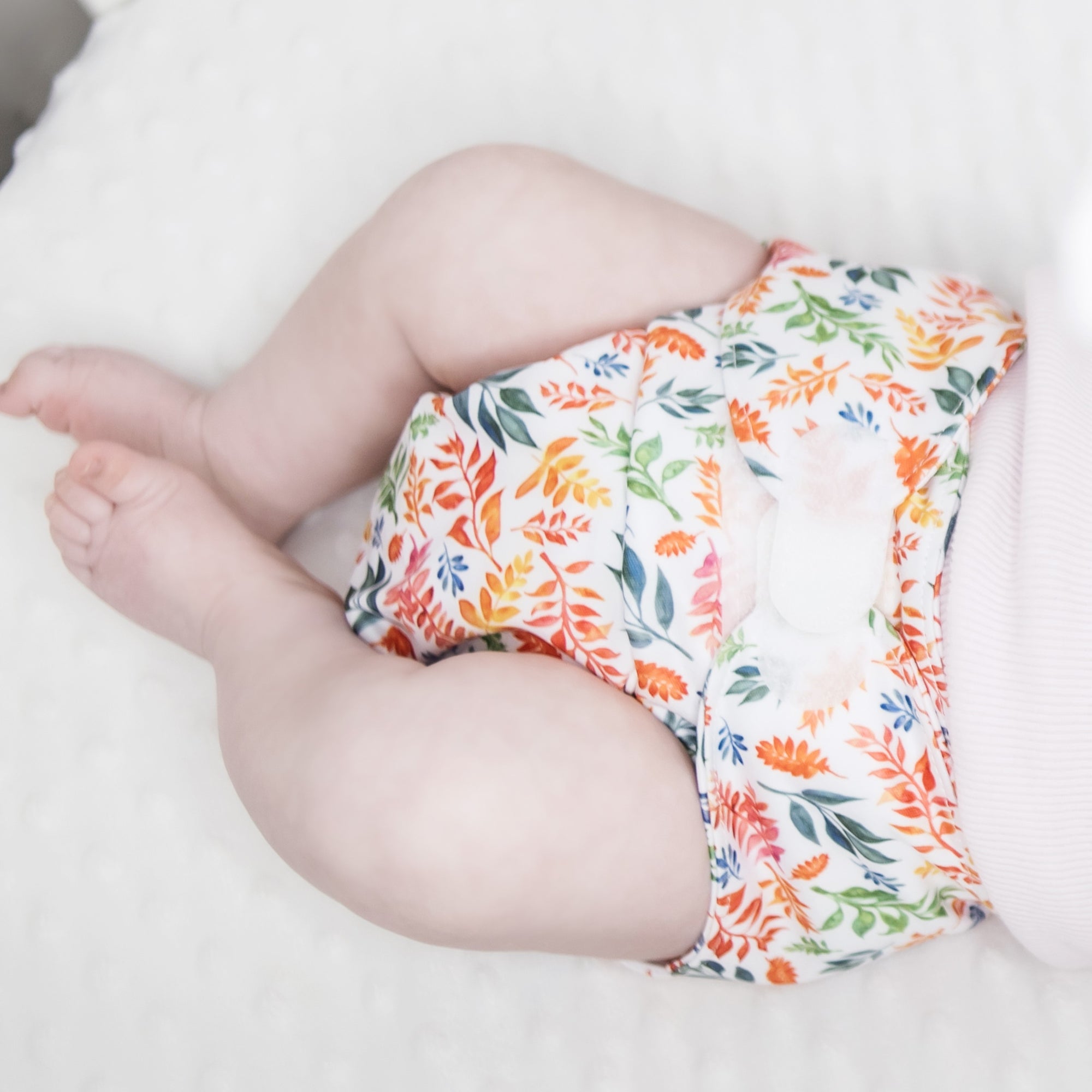 Ultimate Wipeable Cloth Nappy | Four Seasons (Nap Edition) - Monarch