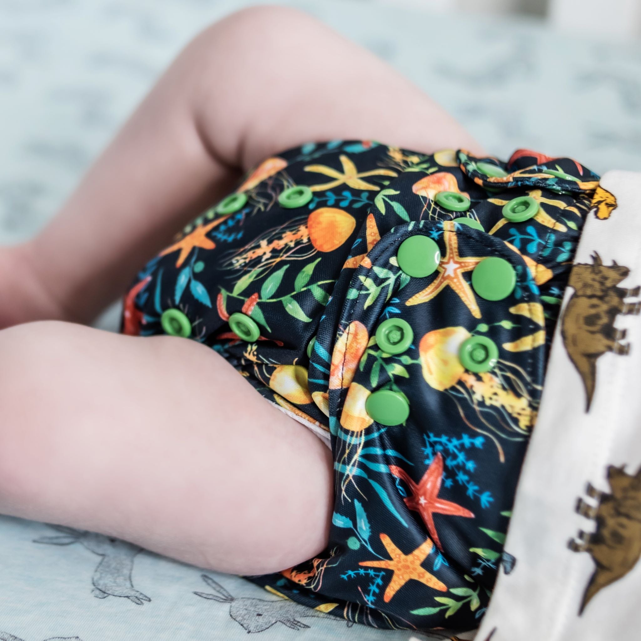Classic Reusable Cloth Nappy 2.0 | You Jelly? - Monarch