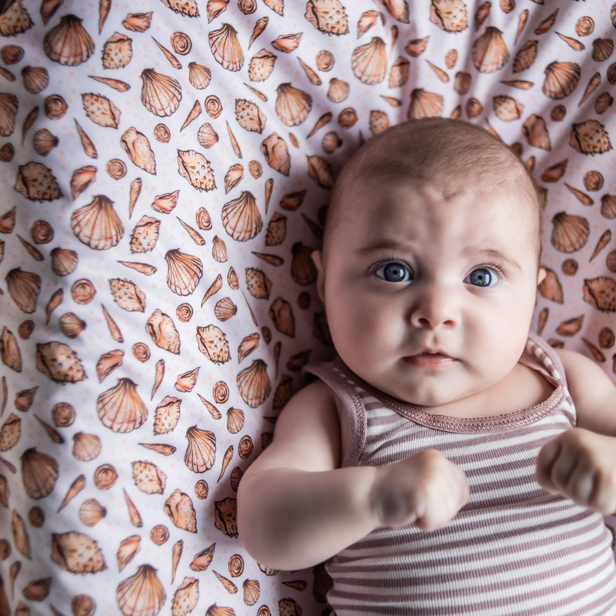 Wipe-Clean Change Mat | What the Shell - Monarch