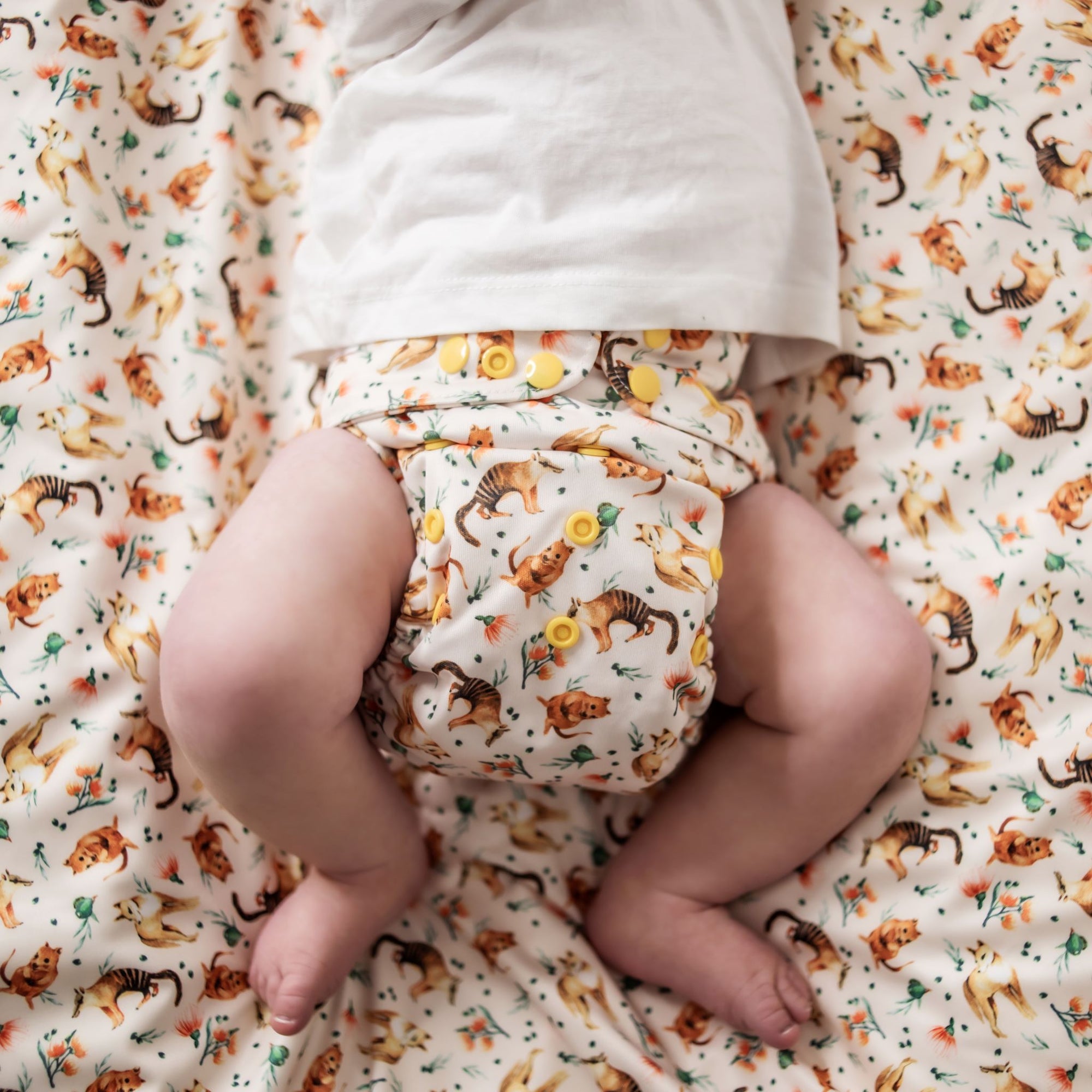 Classic Reusable Cloth Nappy 2.0 | Bush Buddies - Monarch