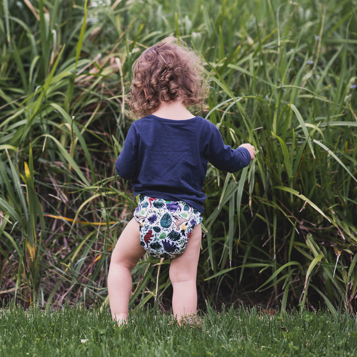 Classic Reusable Cloth Nappy 1.0 | Prehistoric - Monarch