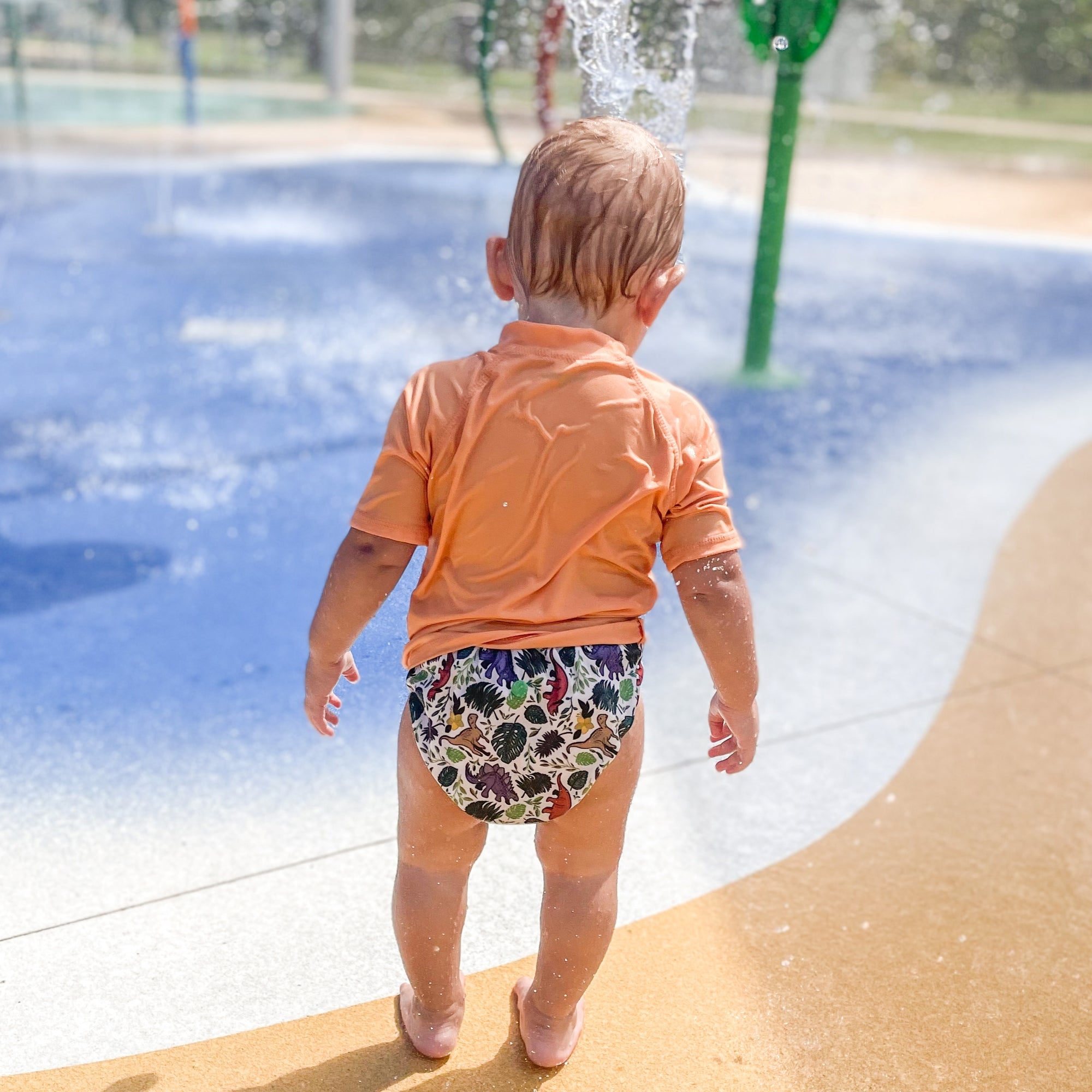 Classic Reusable Cloth Nappy 1.0 | Prehistoric - Monarch