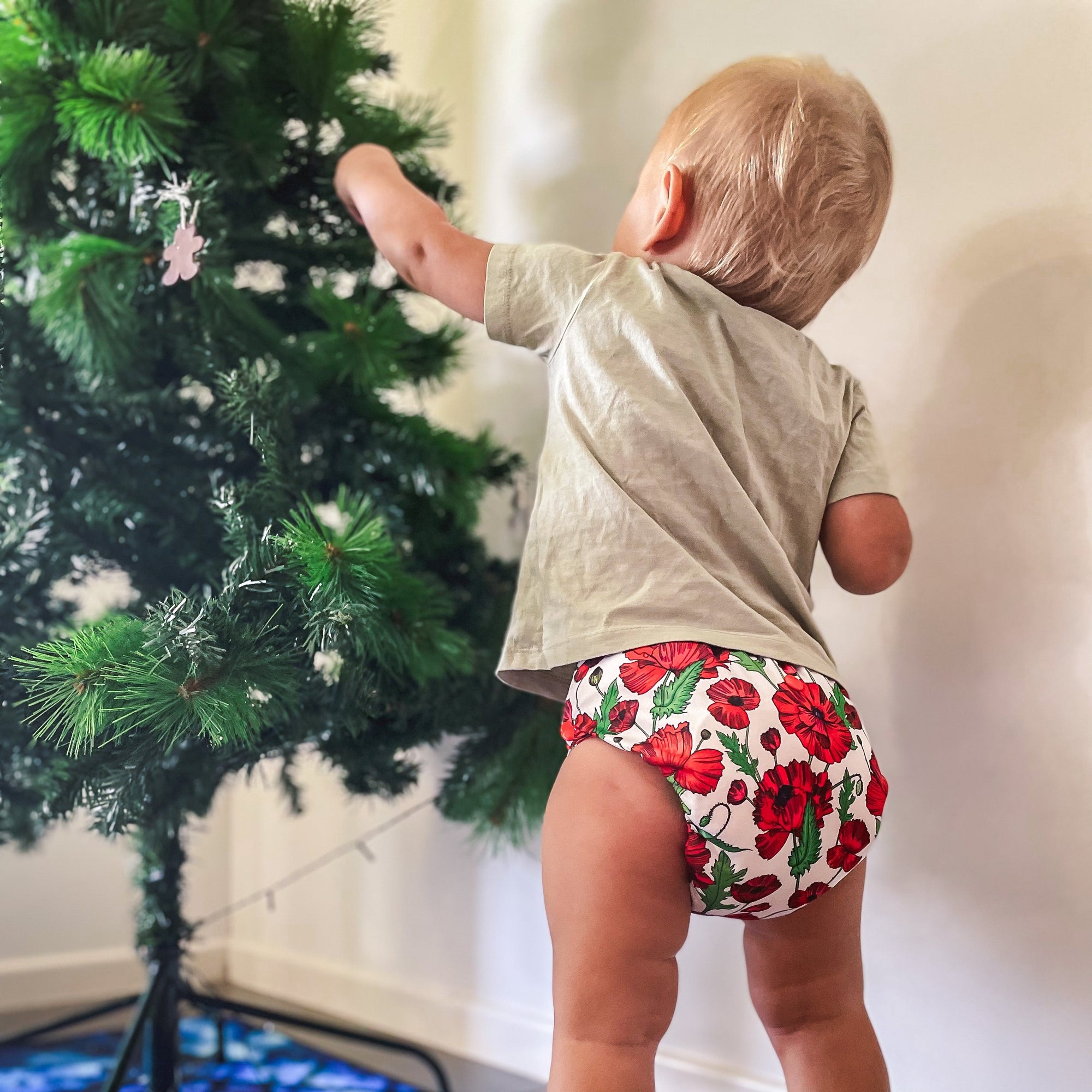 Ultimate Wipeable Cloth Nappy | Remember Them - Monarch