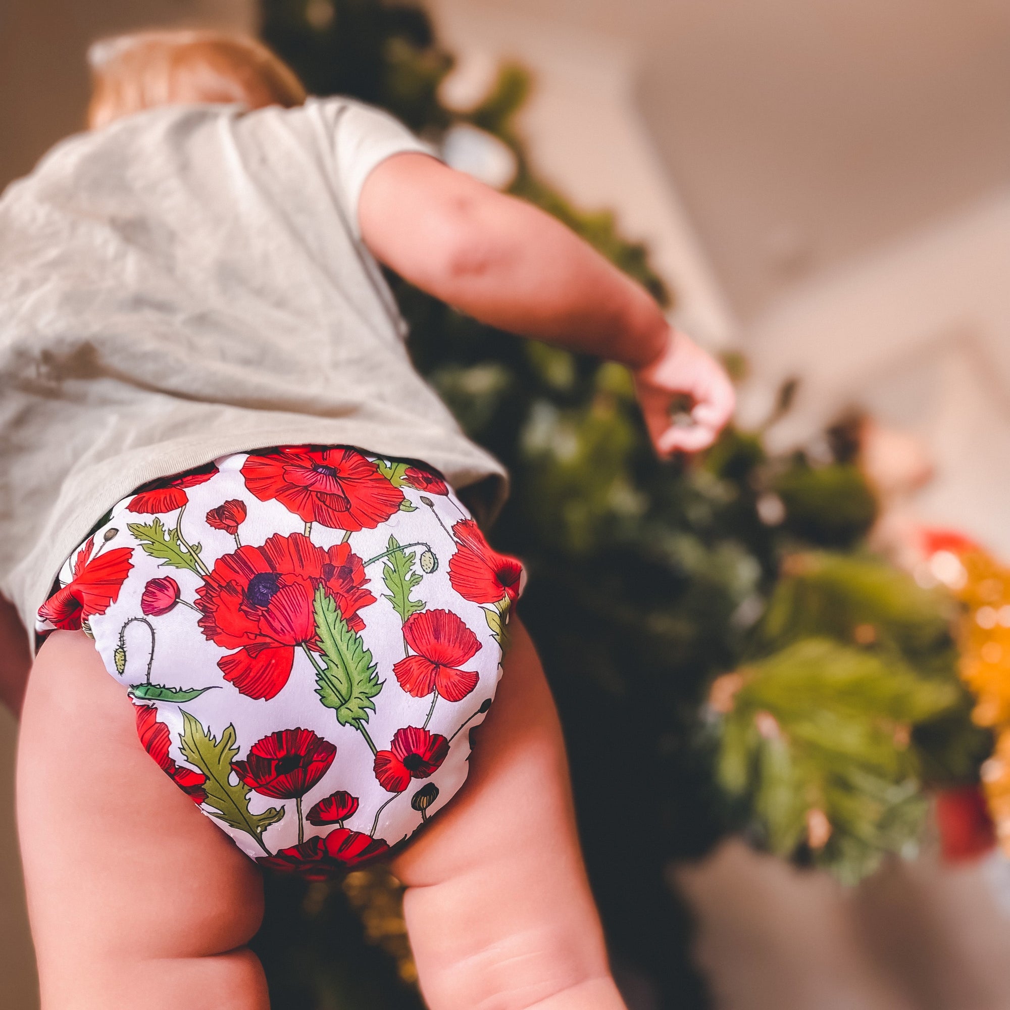 Ultimate Wipeable Cloth Nappy | Remember Them - Monarch