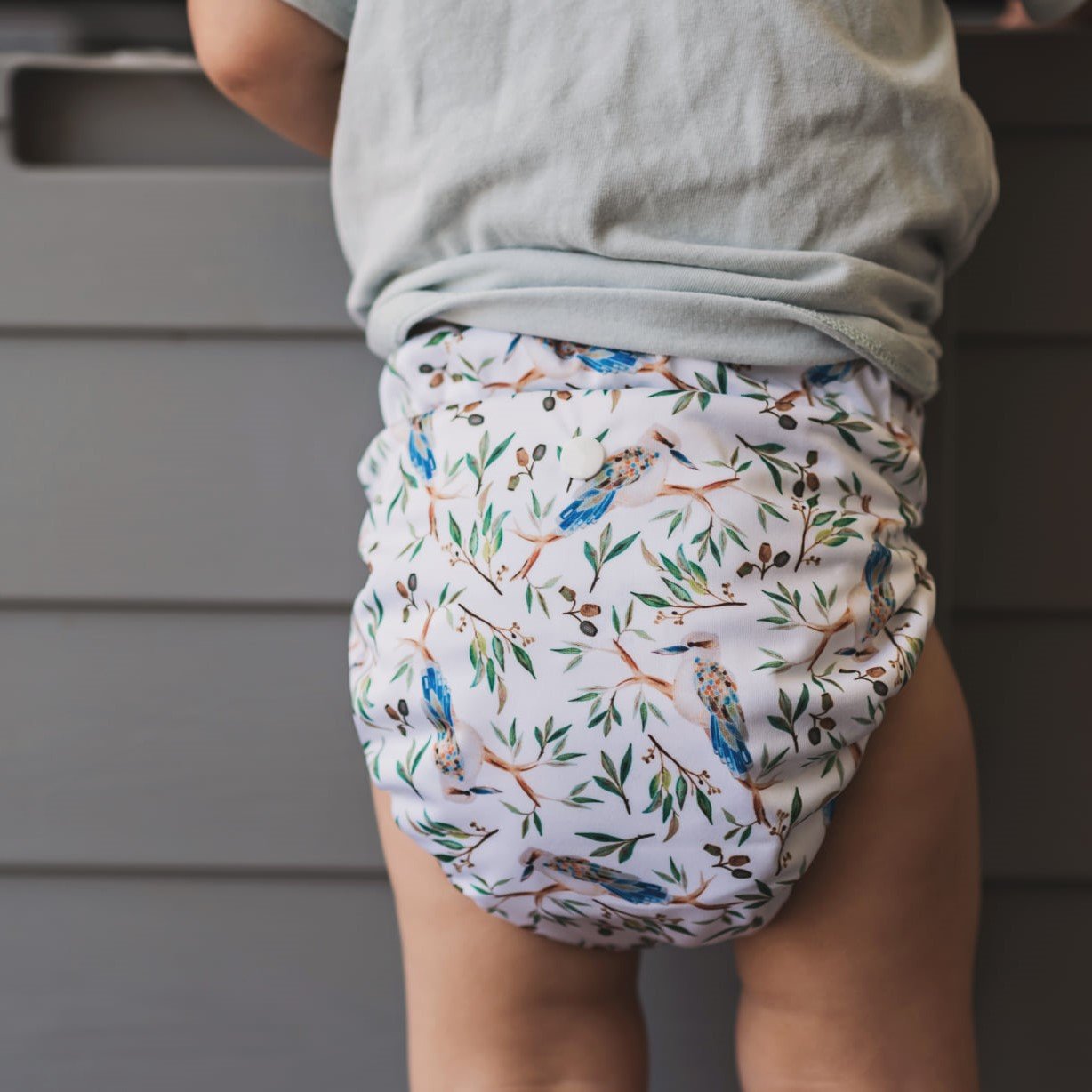 Alcmena | V1.5 Reusable Pocket Nappy | In The Old Bum Tree - Monarch