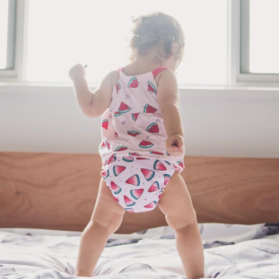 Alcmena | V3.5 Snap & Wipe Cloth Nappy | Losing My Rind (Hook & Loop Only) - Monarch