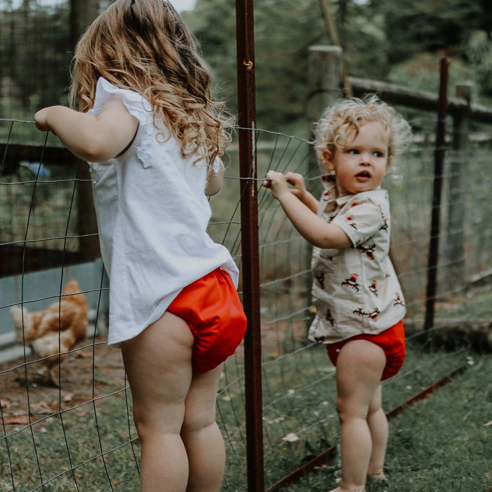 Alcmena | V3.5 Snap & Wipe Cloth Nappy | Ruby Red | Hook & Loop Only - Monarch