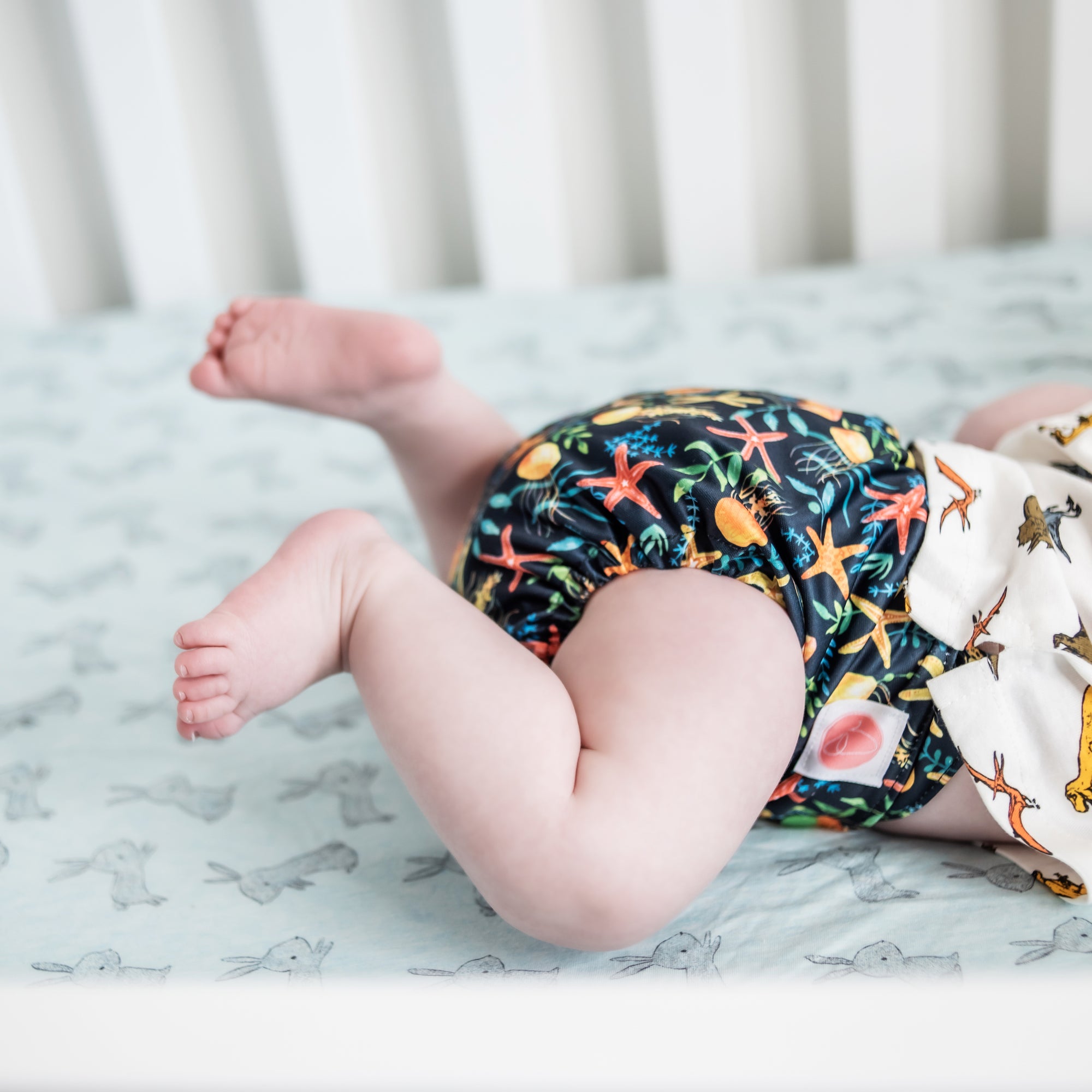 Classic Reusable Cloth Nappy 2.0 | You Jelly? - Monarch